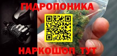 индика Аргун