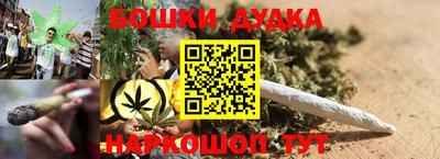 индика Аргун