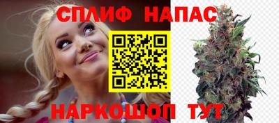 индика Аргун