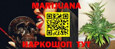 мдпв Бийск