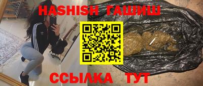 индика Аргун