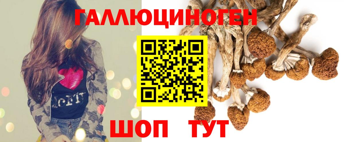 Псилоцибиновые грибы GOLDEN TEACHER  Псилоцибиновые грибы Cubensis  Вход с VPN  Бузулук 