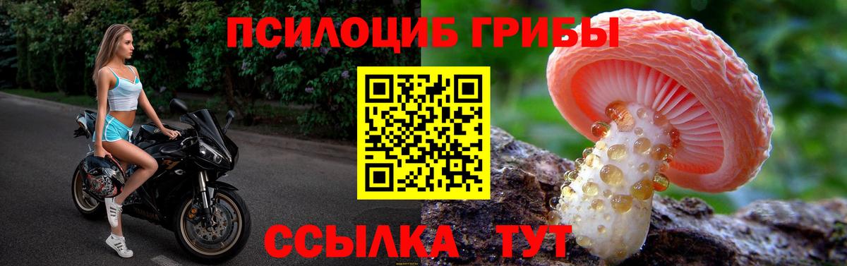 Галлюциногенные грибы Cubensis Бузулук